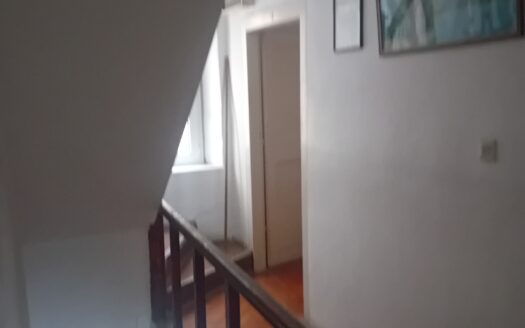 Authentisches dalmatinisches Steinhaus zu verkaufen, gelegen im Herzen von (Verkauf)