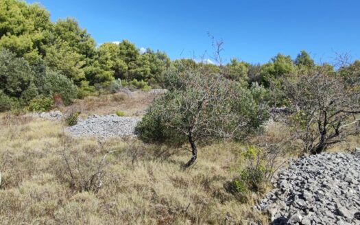 Čiovo – attraktives landwirtschaftliches Grundstück 4.230 m²