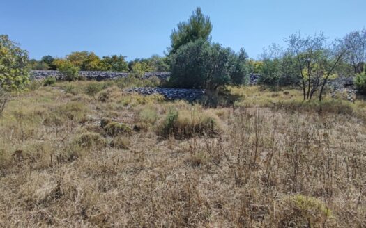 Čiovo – attraktives landwirtschaftliches Grundstück 4.230 m²