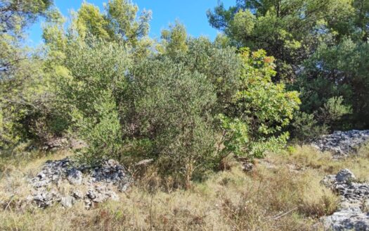 Erstklassiges landwirtschaftliches Grundstück auf der Insel Vis – beeindruckende 18.767 m², ideal für Landwirtschaft, Investition oder Entwicklung