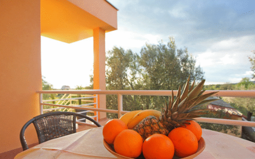 Piękny dom z siedmioma apartamentami, Sukošan